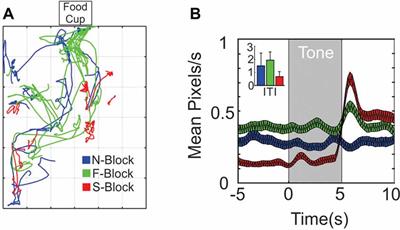 Persistent Valence Representations by Ensembles of Anterior Cingulate Cortex Neurons